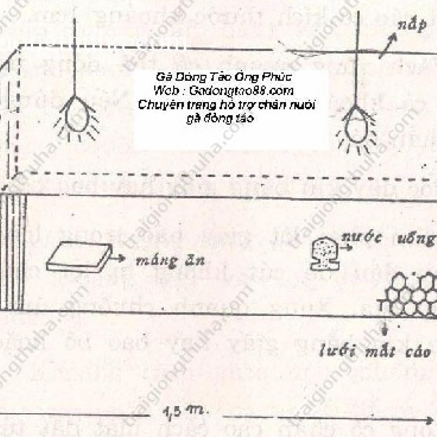 Hướng dẫn làm chuồng nuôi gà đông tảo