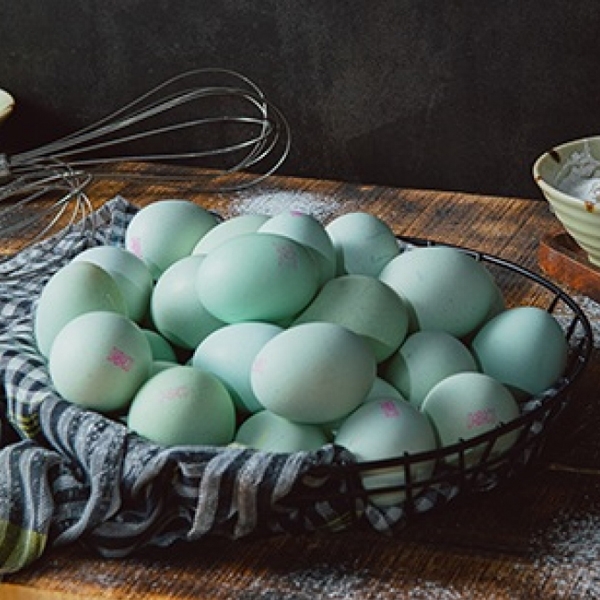 Giá trị dinh dưỡng của trứng gà  vỏ xanh